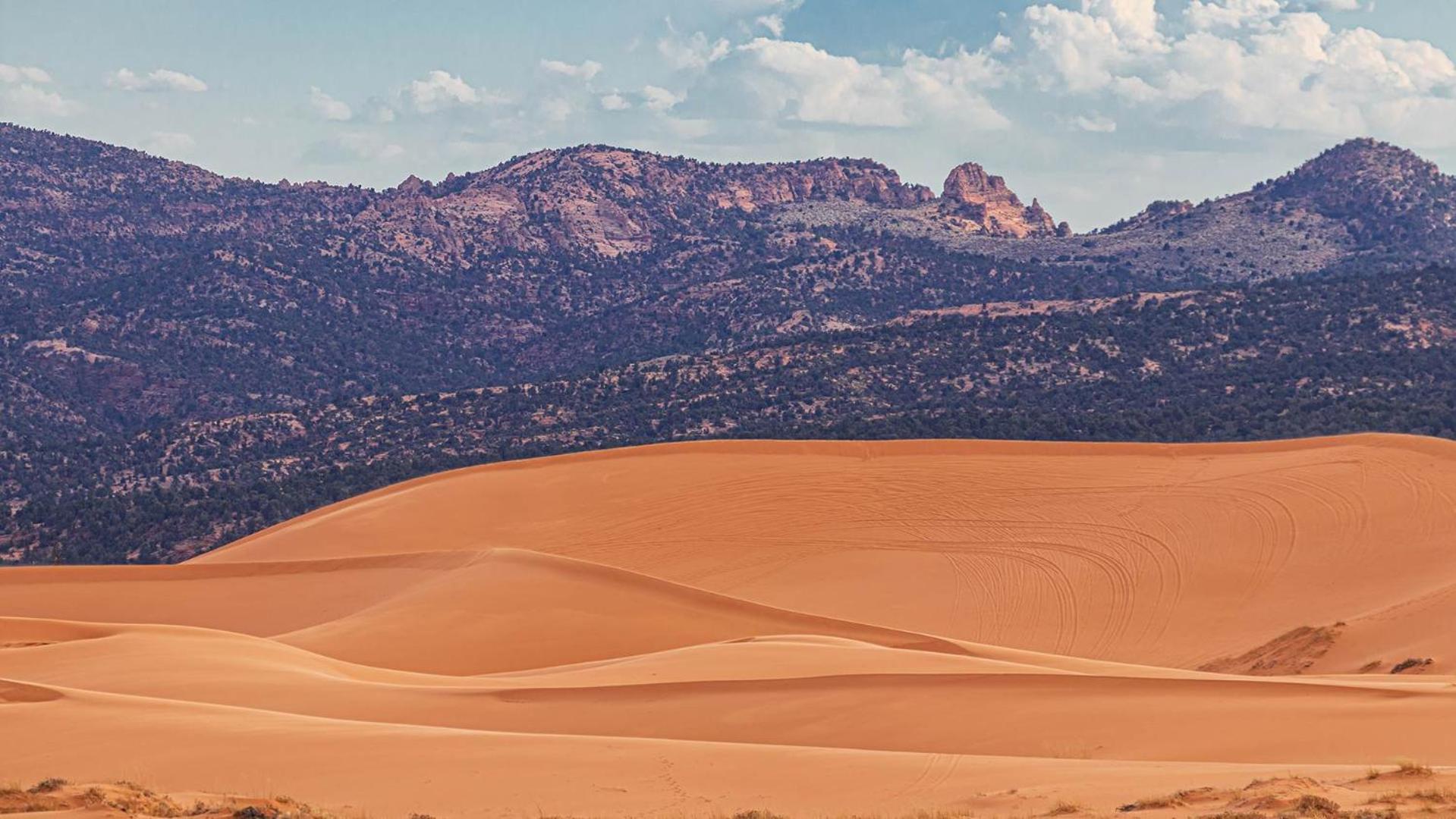 Luxury Pet Friendly Holiday Home La Estancia Kanab Esterno foto
